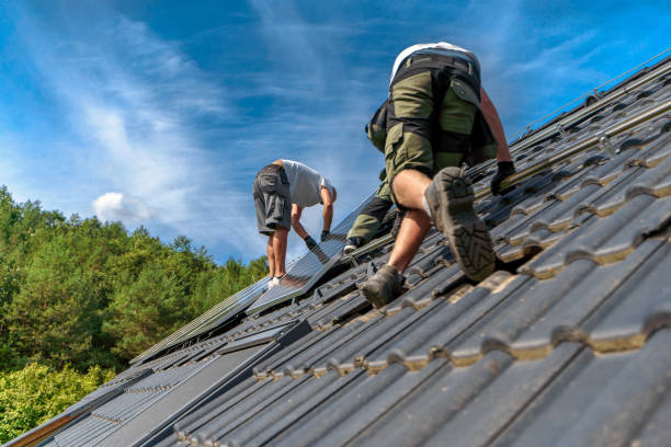 Pinnacle Roofing Experts